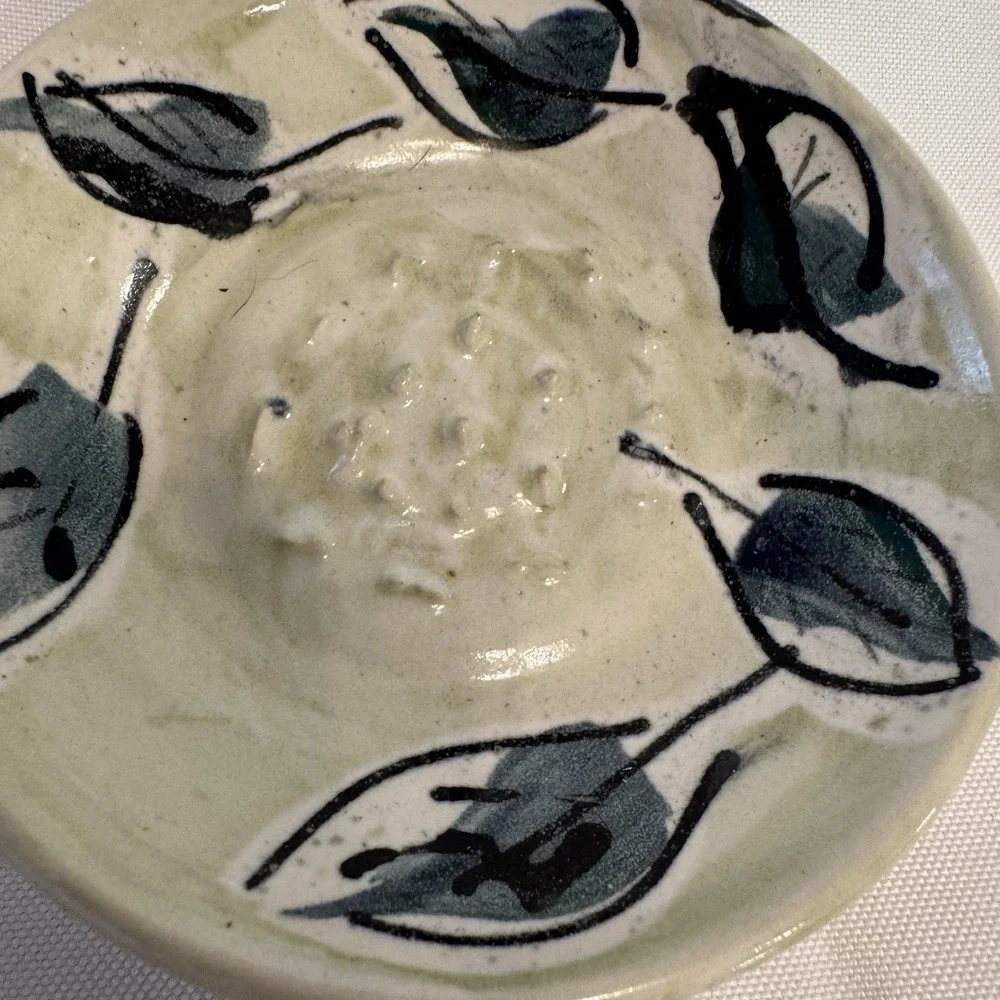 CP Ceramica Spain Garlic Ginger Grater Shredder Rasper Plate Ceramic HandPainted